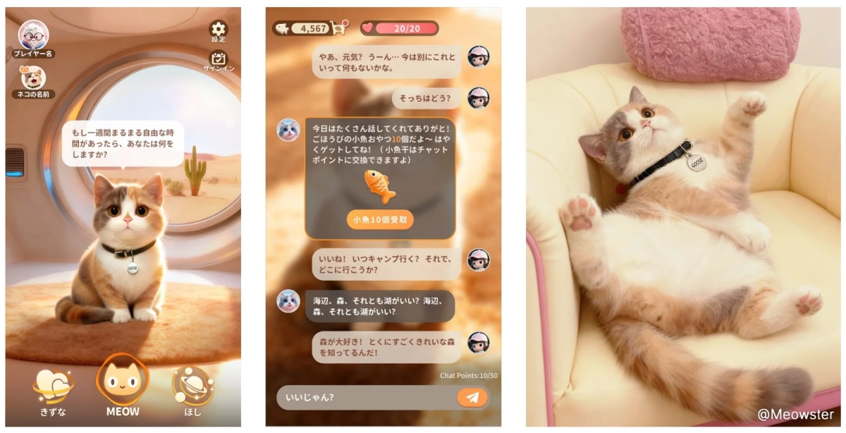 ゲーム画面とリアル猫