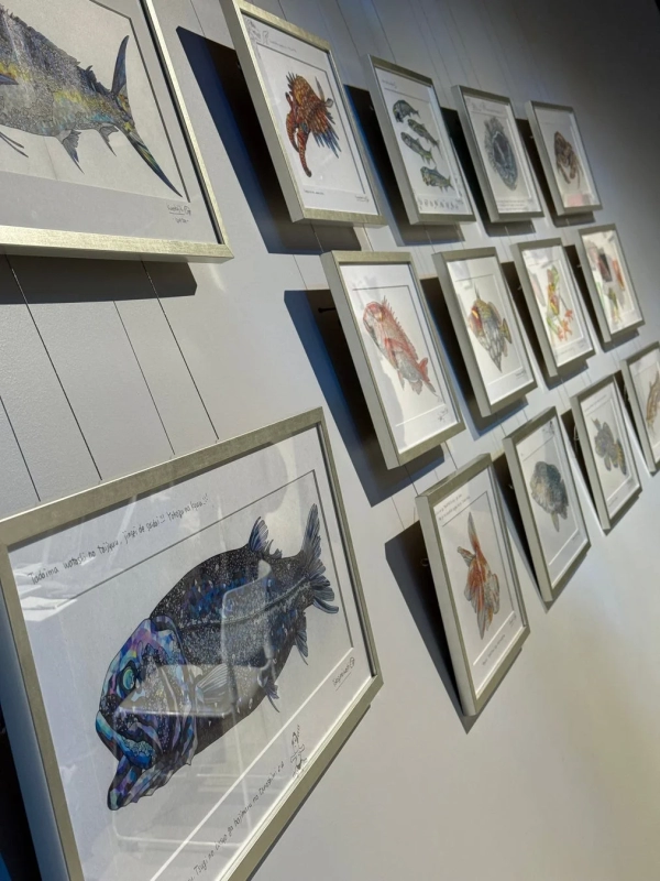 魚や海洋生物の額装イラスト