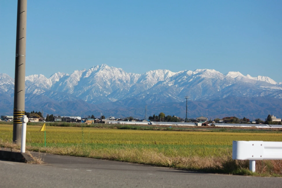 富山の田園風景と雪山