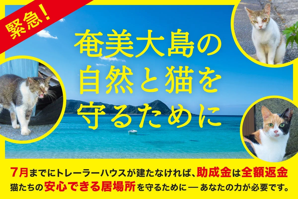 緊急! 奄美大島の自然と猫を守るために