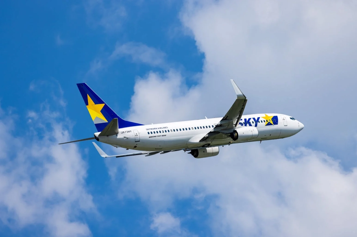 飛行中のスカイマークのボーイング737-800型機